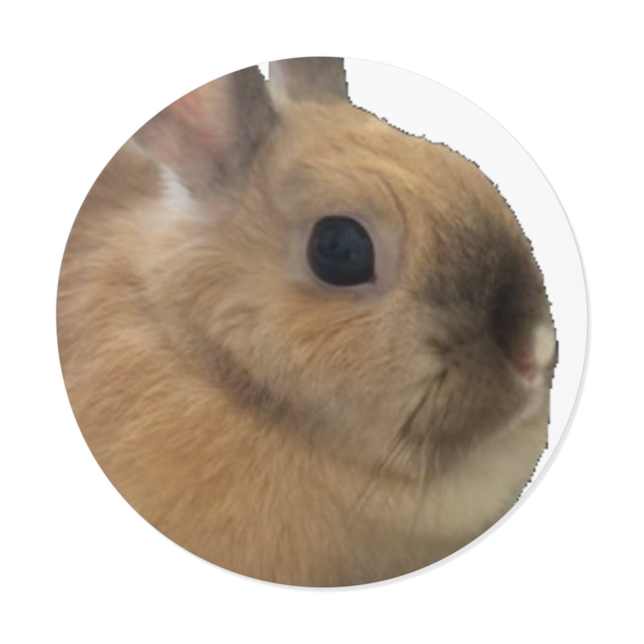 Peanut Face Stickers