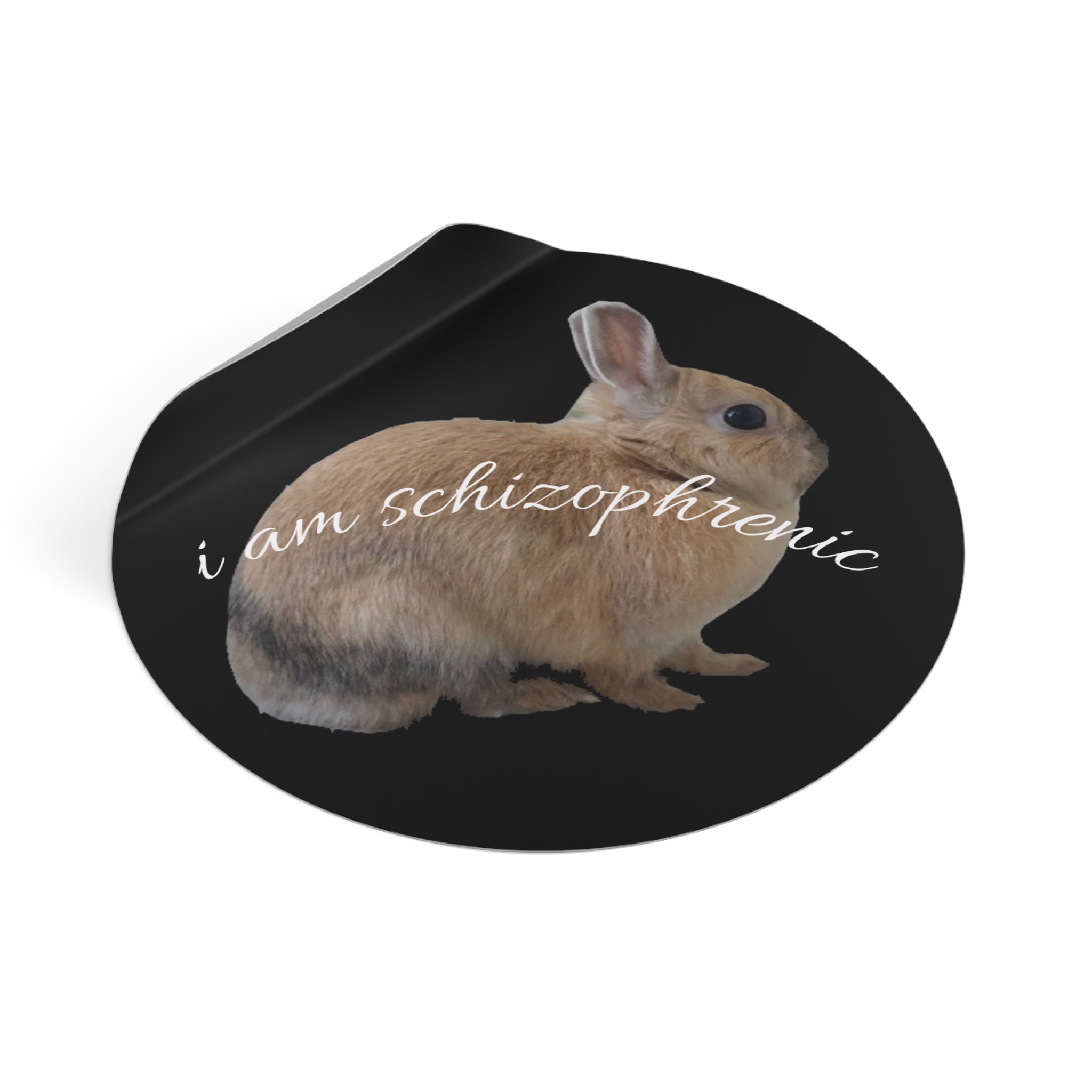 Round Peanut Schizophrenia Stickers