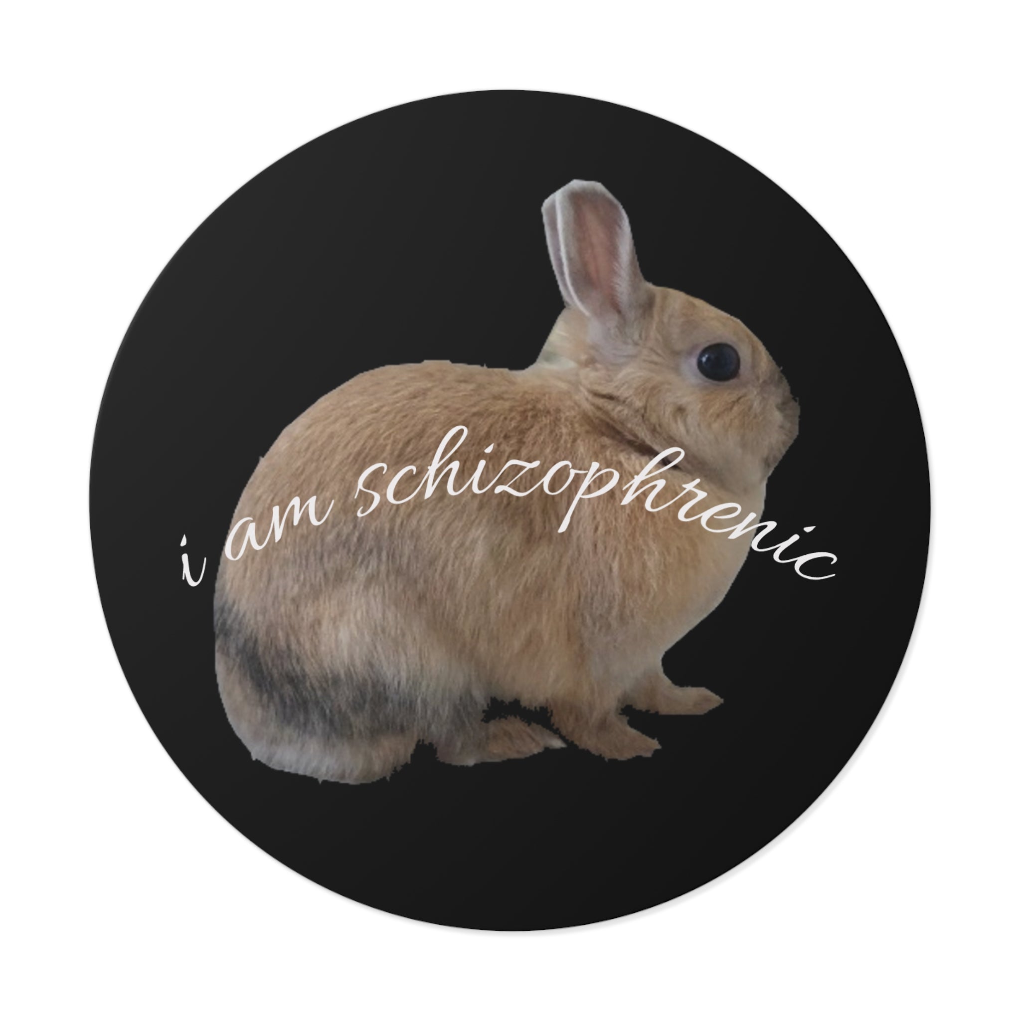 Round Peanut Schizophrenia Stickers