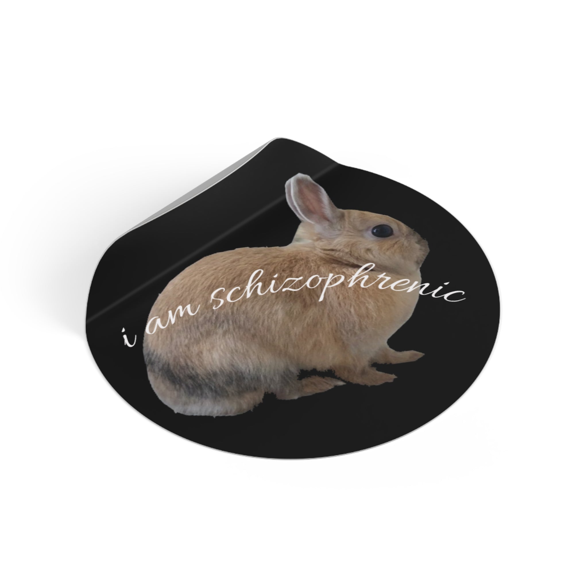 Round Peanut Schizophrenia Stickers
