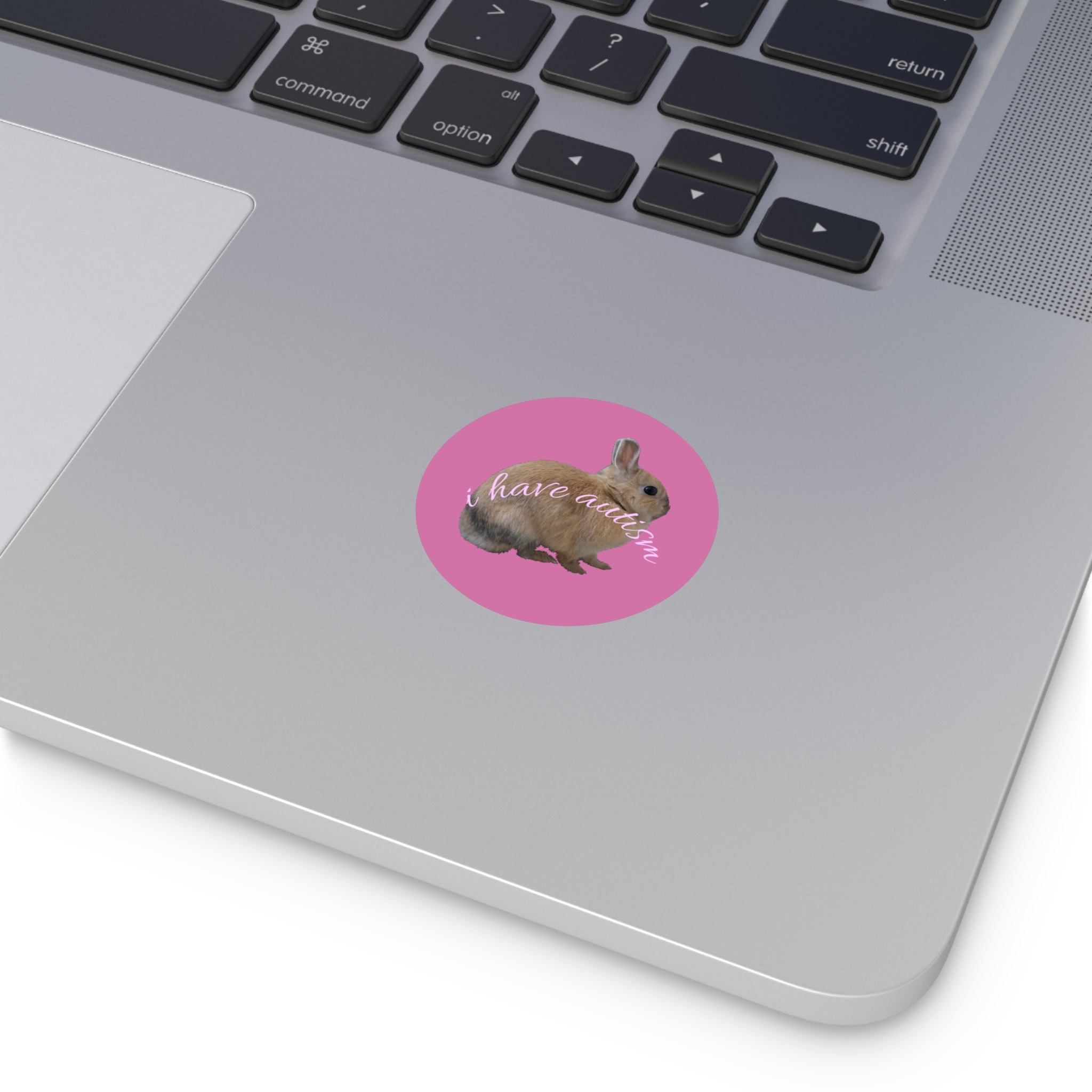 Round Peanut Autism Stickers