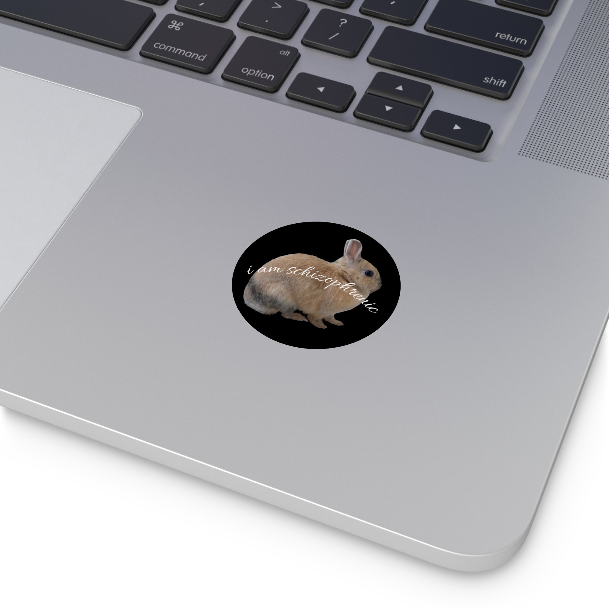 Round Peanut Schizophrenia Stickers