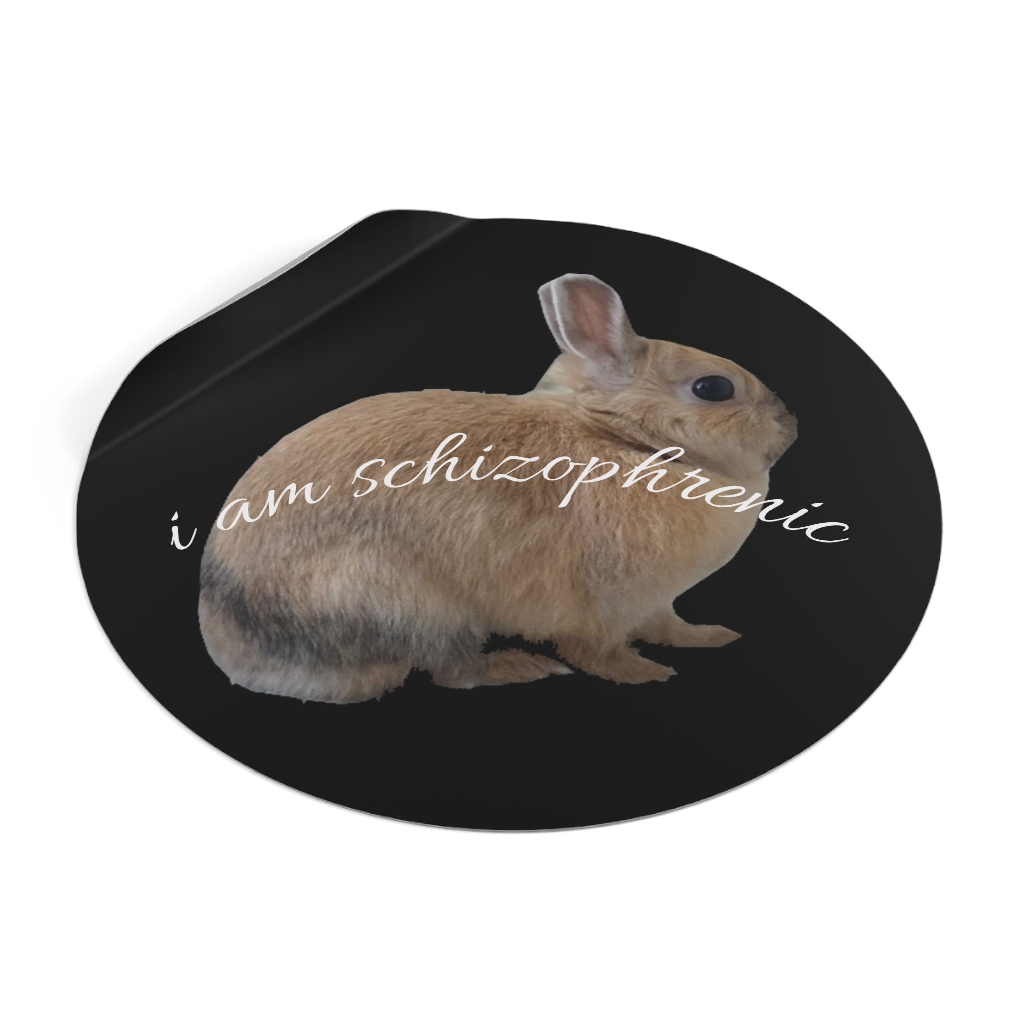Round Peanut Schizophrenia Stickers
