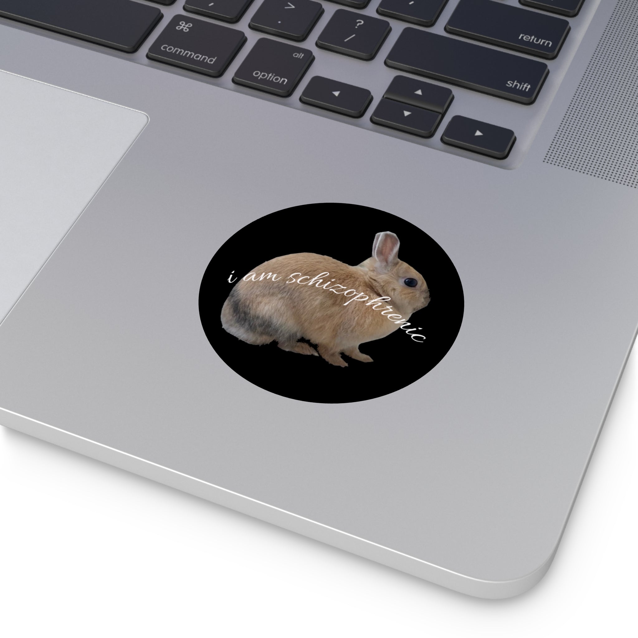 Round Peanut Schizophrenia Stickers
