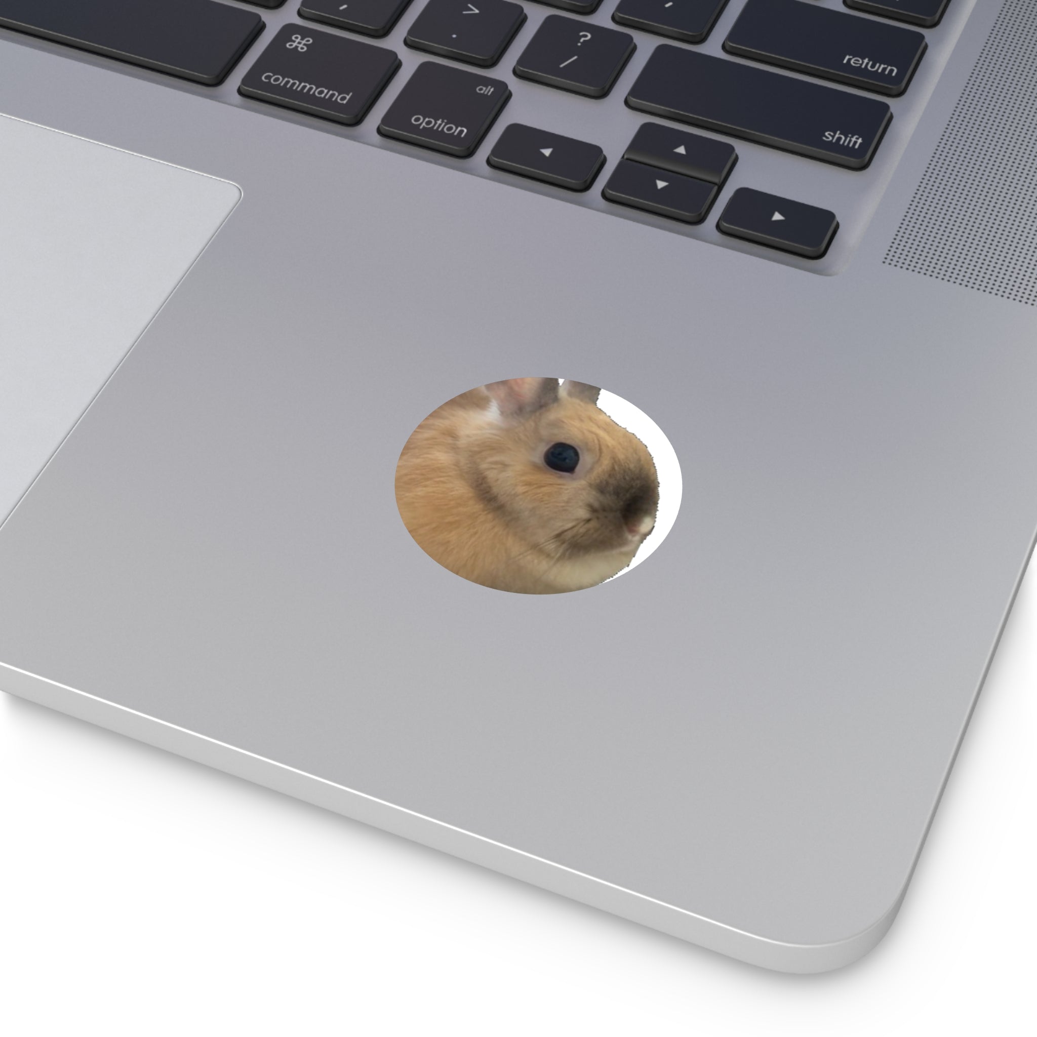 Peanut Face Stickers